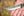 TOPS Knives BRAKS-01 Brakimo Slim