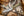 TOPS Knives BRAKS-01 Brakimo Slim