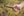 TOPS Knives BRAKS-01 Brakimo Slim