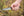 TOPS Knives BRAKS-01 Brakimo Slim