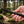 TOPS Knives ELPO-02 El Pionero Blackout Edition