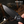 Remette RTCL-T4 RT-Cool Whale Knife, Titanium, M390, Titanium Plating + Stone