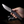 Remette RT ONEA3 RT-ONE Knife, Titanium + Carbon Fiber, M390, Fine Grinding
