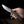 Remette RT ONEA4 RT-ONE Knife, Titanium + Carbon Fiber, M390, Fine Grinding