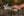 TOPS Knives TBT-031 Tom Brown Tracker #3 154cm Stainless