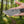 TOPS Knives TBT-031 Tom Brown Tracker #3 154cm Stainless